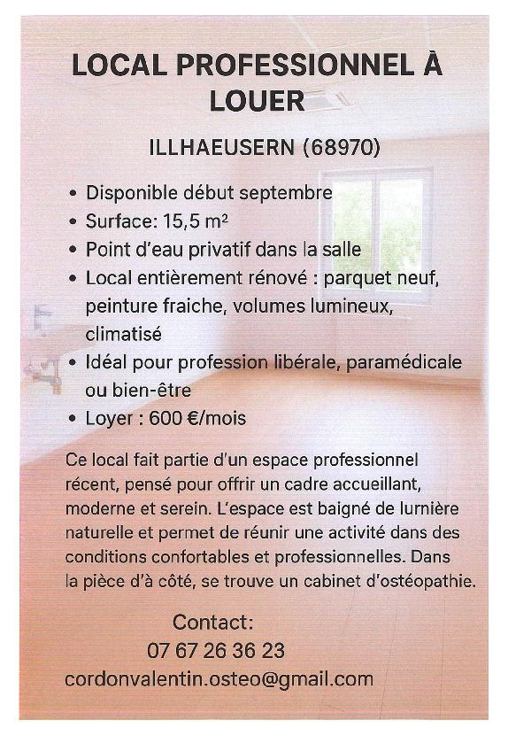 Local professionnel à louer